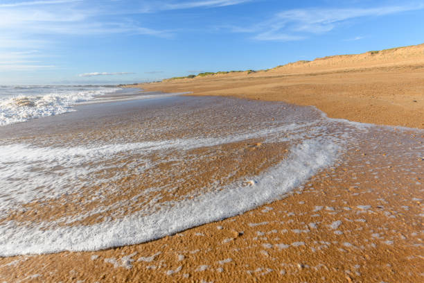 istock Sea foam on the beautiful sand Atlantic ocean beach. 1272325060