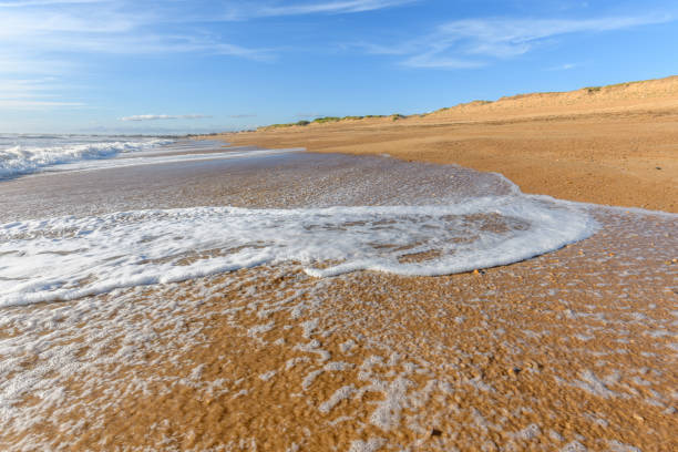 istock Sea foam on the beautiful sand Atlantic ocean beach. 1272325066