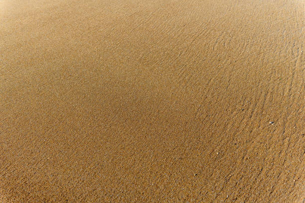Texture background of natural sand at the beach in France