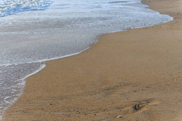 istock Sea foam on the beautiful sand Atlantic ocean beach. 1272325127