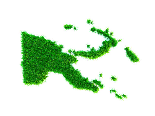 istock Grass map of Papua new guinea, isolated on white 1272327145
