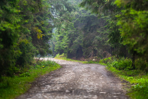 istock Mountain road in a foggy day 1272330328