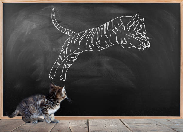 istock Dream of a little kitten: Being Tiger 1272339385