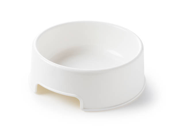 istock Pet food plates on a white background 1272340139