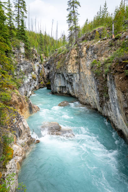 istock Kootenay River Waterfall at Marble Canyon, British Columbia, Canada 1272343463