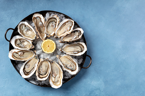A dozen of oysters on ice, with a lemon, shot from the top with a place for text