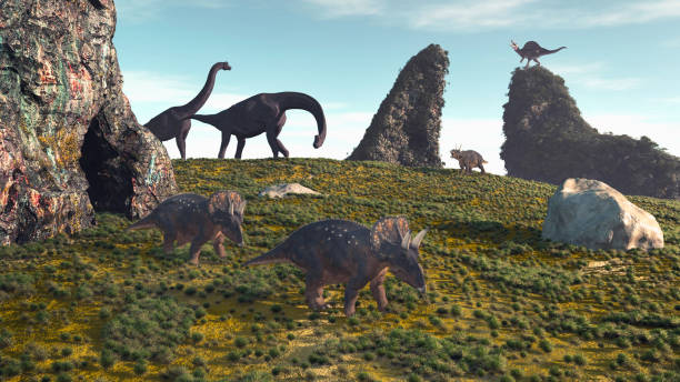 Dinosaurus on field with rocks. This is a 3d render illustration .
