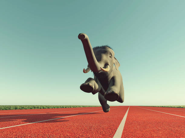 istock Elephant jogging on running track . This is a 3d render illustration . 1272350379