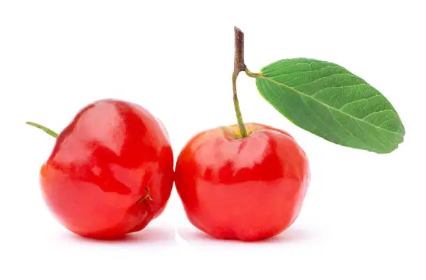 Two red acerola cherry fruit ( Malpighia Glabra ) with green leaf isolated on white background. Healthy and high vitamin c fruit, food for health concept. Macro