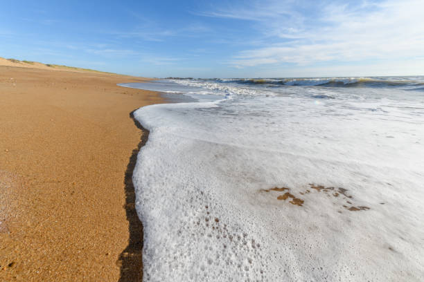 istock Sea foam on the beautiful sand Atlantic ocean beach. 1272356390