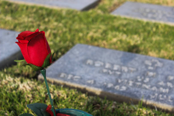 istock Military Graveyard Cemetary Grave Markers Rows Landscape 1272357988