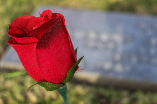 istock Military Graveyard Cemetary Grave Markers Rows Landscape 1272357996