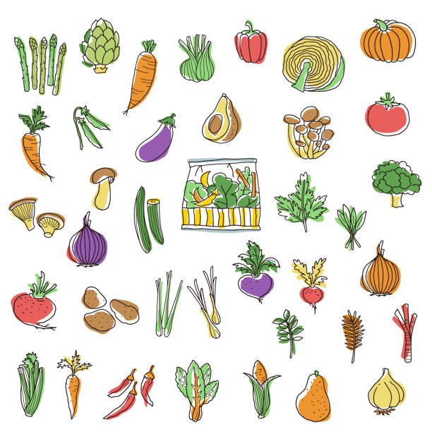 illustrations, cliparts, dessins animés et icônes de collection d’illustrations de légumes intéressants, - fruits et légumes