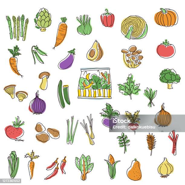 Collection Dillustrations De Légumes Intéressants Vecteurs libres de droits et plus d'images vectorielles de Magasin de fruits et légumes