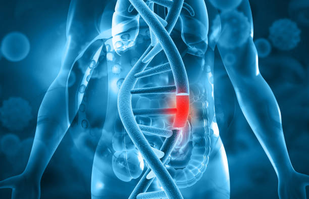istock Damages Dna with human body 1272365171
