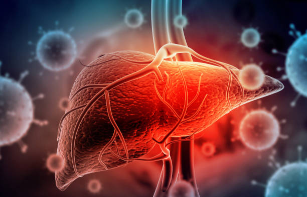 virus hepatitis dengan hati manusia - hepatitis potret stok, foto, & gambar bebas royalti