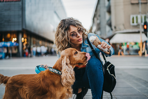 Beautiful young woman and her dog cocker spaniel eating ice cream in the city on sunny summer day