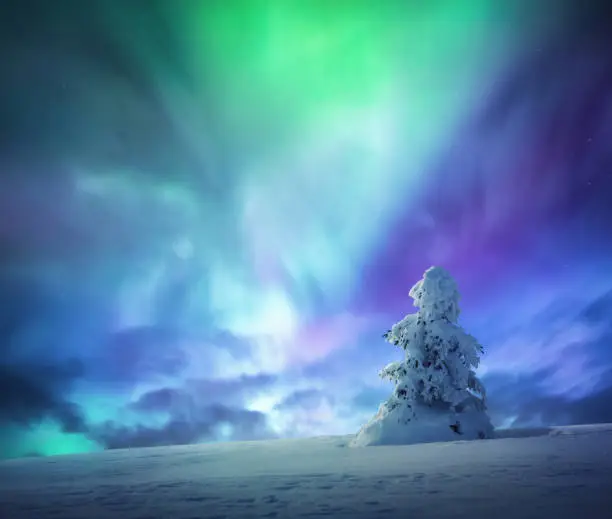 Photo of Idyllic Winter Night Under Colorful Sky