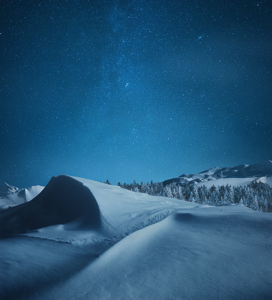 Idyllic snowy winter landscape under the starry night sky.