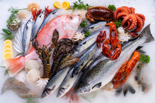 istock Fresh seafood on ice background. 1272369805