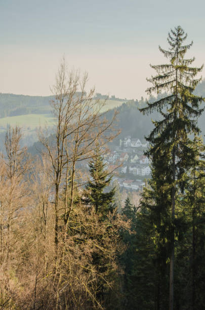 istock Village trough the trees in black forest 1272370096