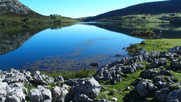istock Enol lake in Asturias (Spain ) 1272370812