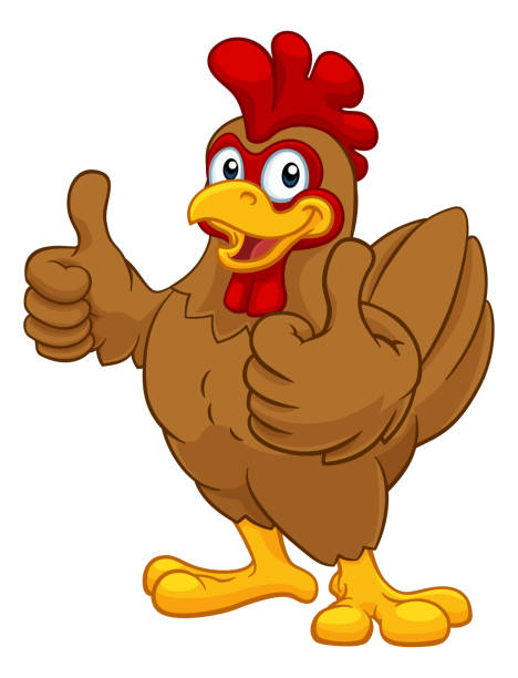 Chicken Cartoon Rooster Cockerel Character A chicken cartoon rooster cockerel character mascot giving a thumbs up. chicken thumbs up design stock illustrations