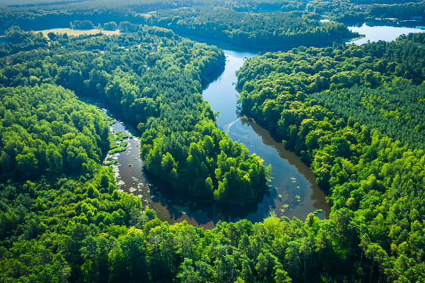 Aerial view of river between green forests at sunrise Aerial view of river between green forests at sunrise, Poland bory tucholskie stock pictures, royalty-free photos & images