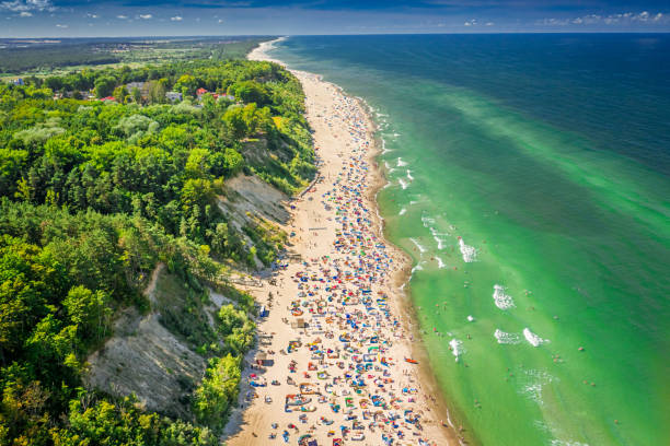 istock Crowded beach in summer on Baltic Sea, aerial view 1272373675