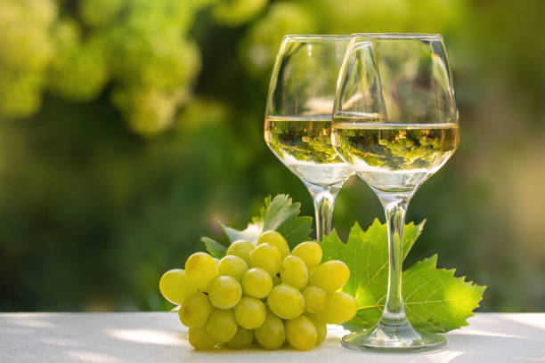 istock Two white wine glasses with grape and grape leafs. Garden in background. Copy space. 1272373763