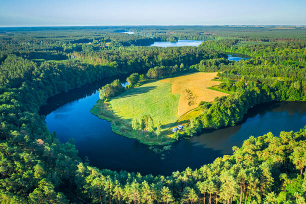 istock Blue winding river between green forests at sunrise 1272373796