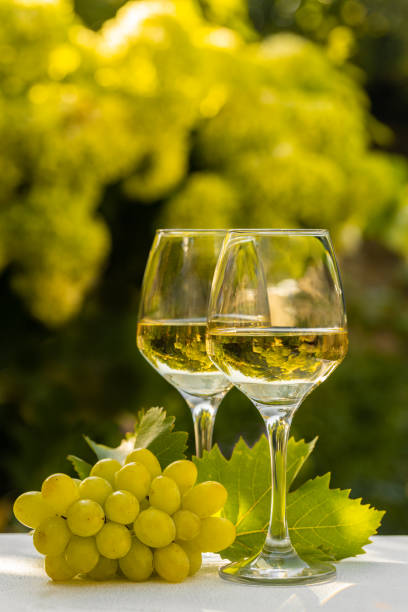 istock Two white wine glasses with grape and grape leafs. Garden in background. 1272373799