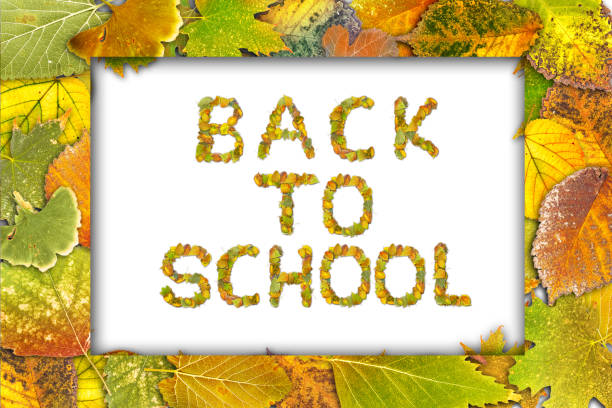 istock Back to school made with autumn leaf 1272374786