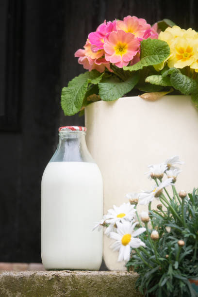 집 앞 문앞에 유리 병에 담긴 택배 신선한 우유 - milk bottle bottle milk doorstep 뉴스 사진 이미지