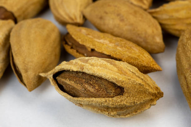 istock Almond with peel on a rustic wooden table. 1272376328