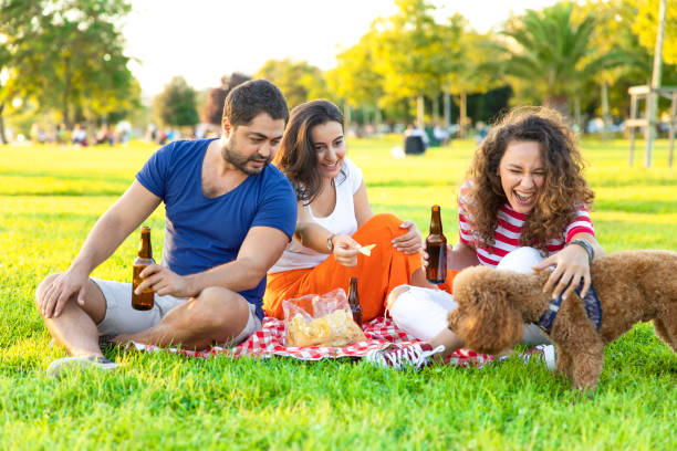 istock Three friends sitting on the grass in the park 1272377344
