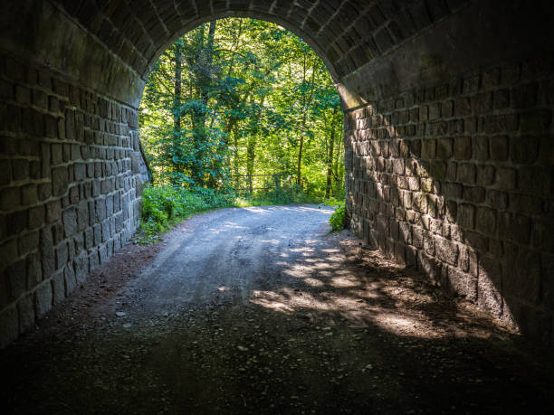 istock Tunnel made from stones leading to nature forest 1272384198