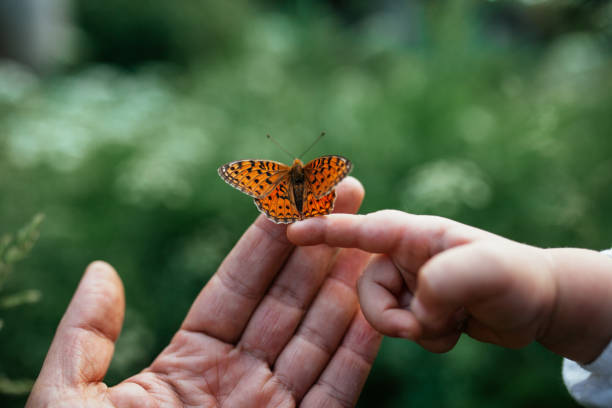 Close-Up Of Butterfly On Hand