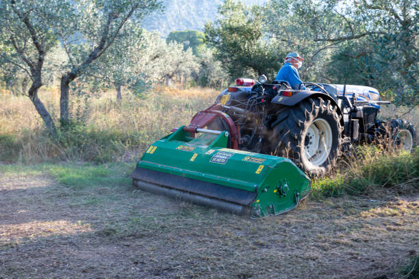 schreddern mit traktor und stiel-chopper - 1080i stock-fotos und bilder