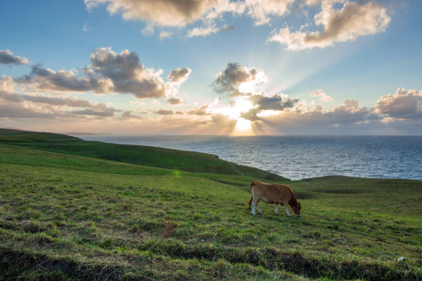 istock A beautiful scenery of rocky cliffs by the sea under a cloudy sky 1272389049