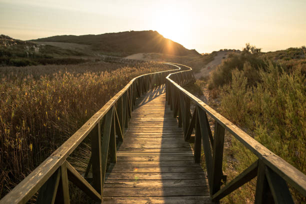 istock Beautiful wooden walkway at sunset 1272394271