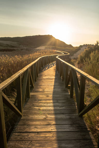 istock Beautiful wooden walkway at sunset 1272394450