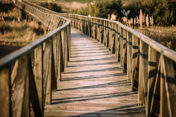 istock Beautiful wooden walkway at sunset 1272394451