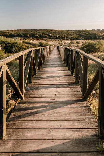 istock Beautiful wooden walkway at sunset 1272394452