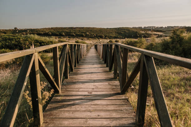 istock Beautiful wooden walkway at sunset 1272394454