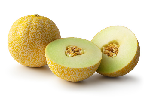 Fruit: Gallia Melons Isolated on White Background