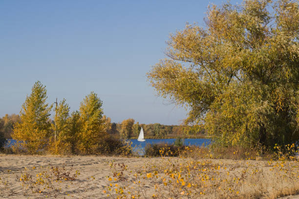 istock Sandy river bank on a warm summer day. 1272398645