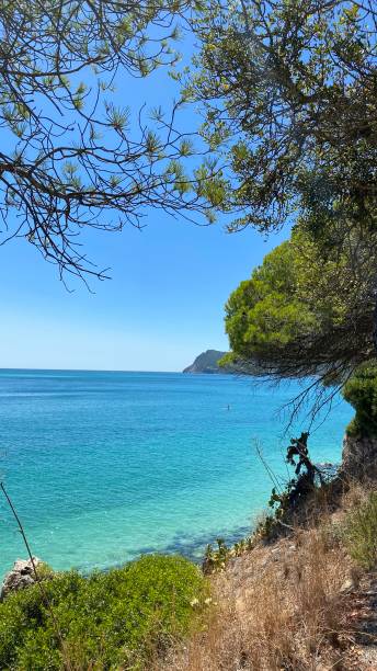 istock Clear water in Setubal, Portugal 1272399158