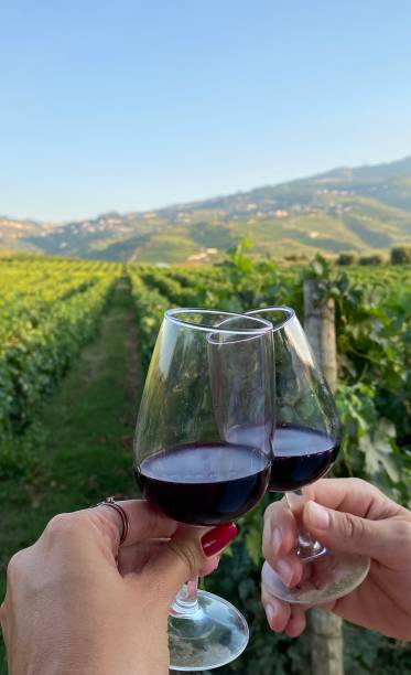 istock Red wine in Douro, Portugal 1272400538
