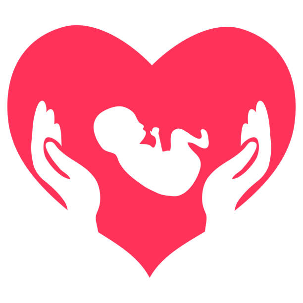 Save the life of a child. Hands on the background of the heart protect the newborn baby. Vector illustration. Vector. Save the life of a child. Hands on the background of the heart protect the newborn baby. Vector illustration. Vector. baby gun stock illustrations